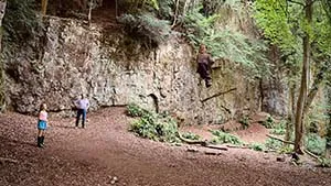 Forest of Dean